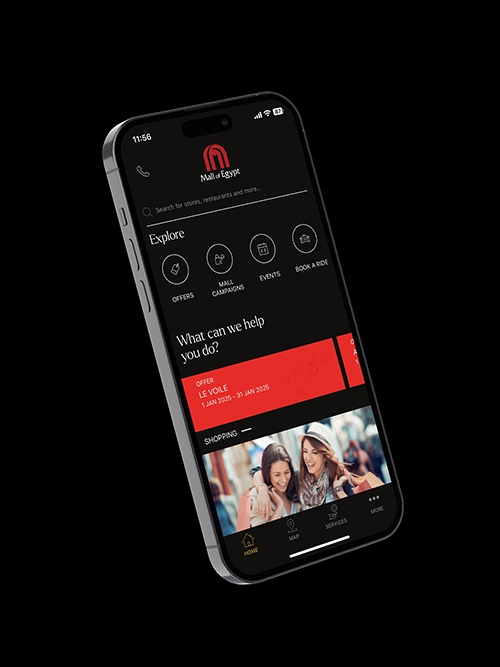 Mobile app interface